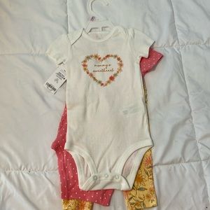 3-piece 9 month old Girl set!